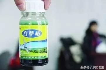 12种农药即将退出市场,违规使用可入刑,哪些你还在用?