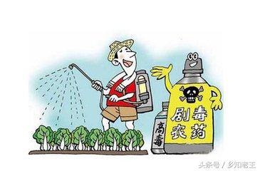 12种农药即将退出市场,违规使用可入刑,哪些你还在用?