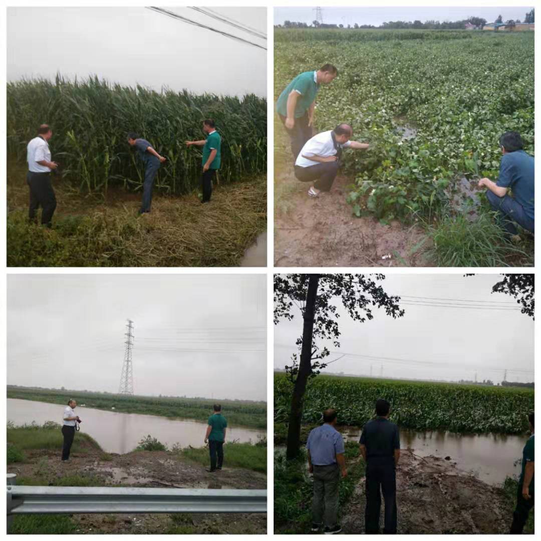 1565665184423082610.png 图片2.png